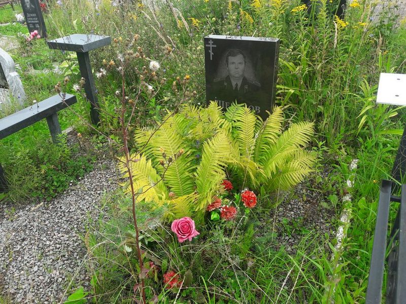 Шебалов Александр Павлович