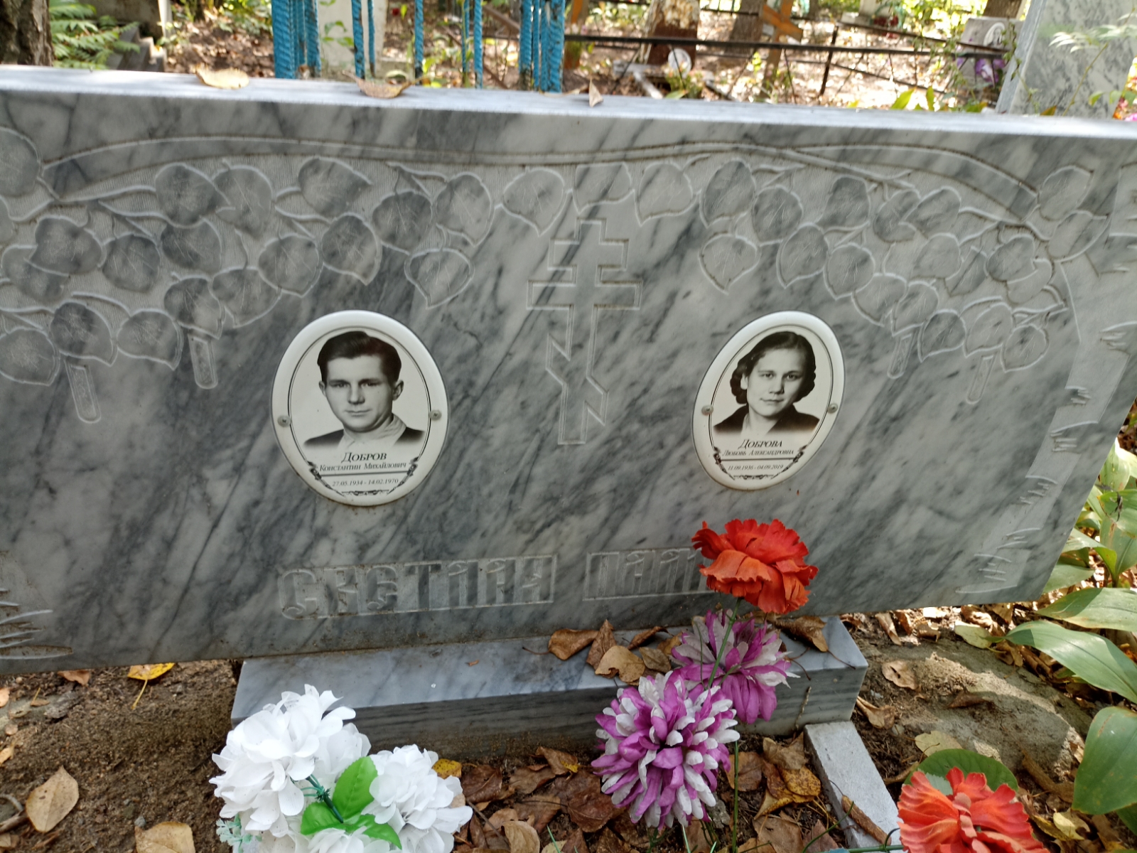 Доброва Любовь Александровна