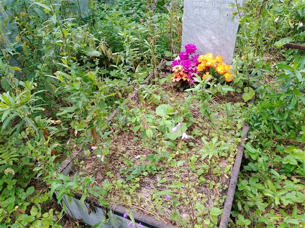 Солякова Дарья Лаврентьевна