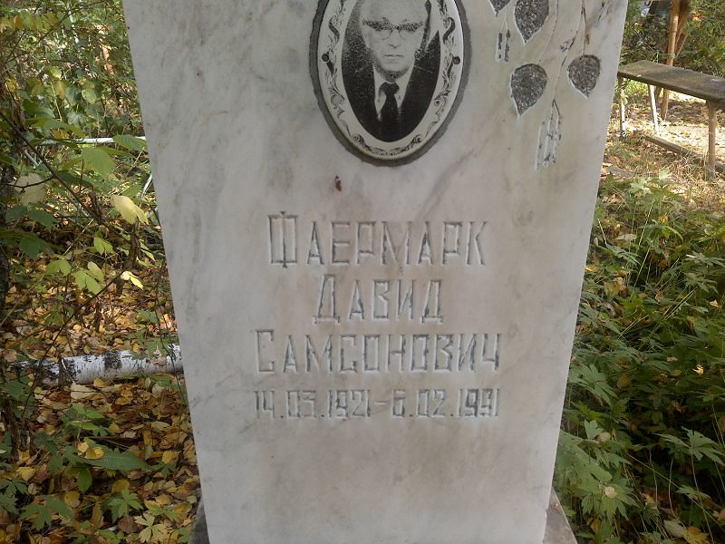 Давид Фаермарк Самсонович