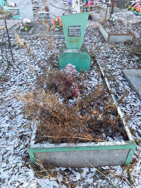 Вырупаева Эмилия Николаевна