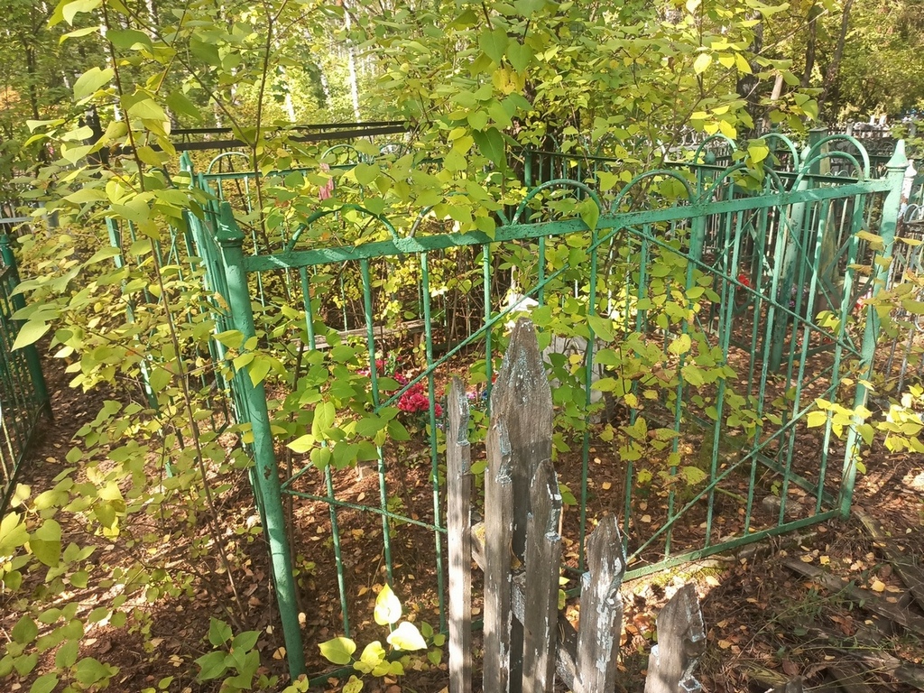 Сарина Елена Васильевна