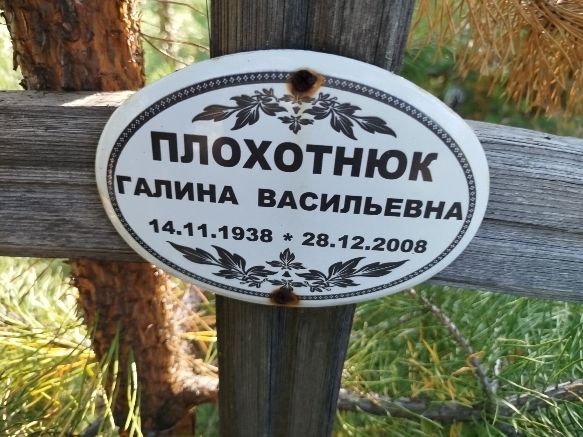 Плохотнюк Галина Васильевна