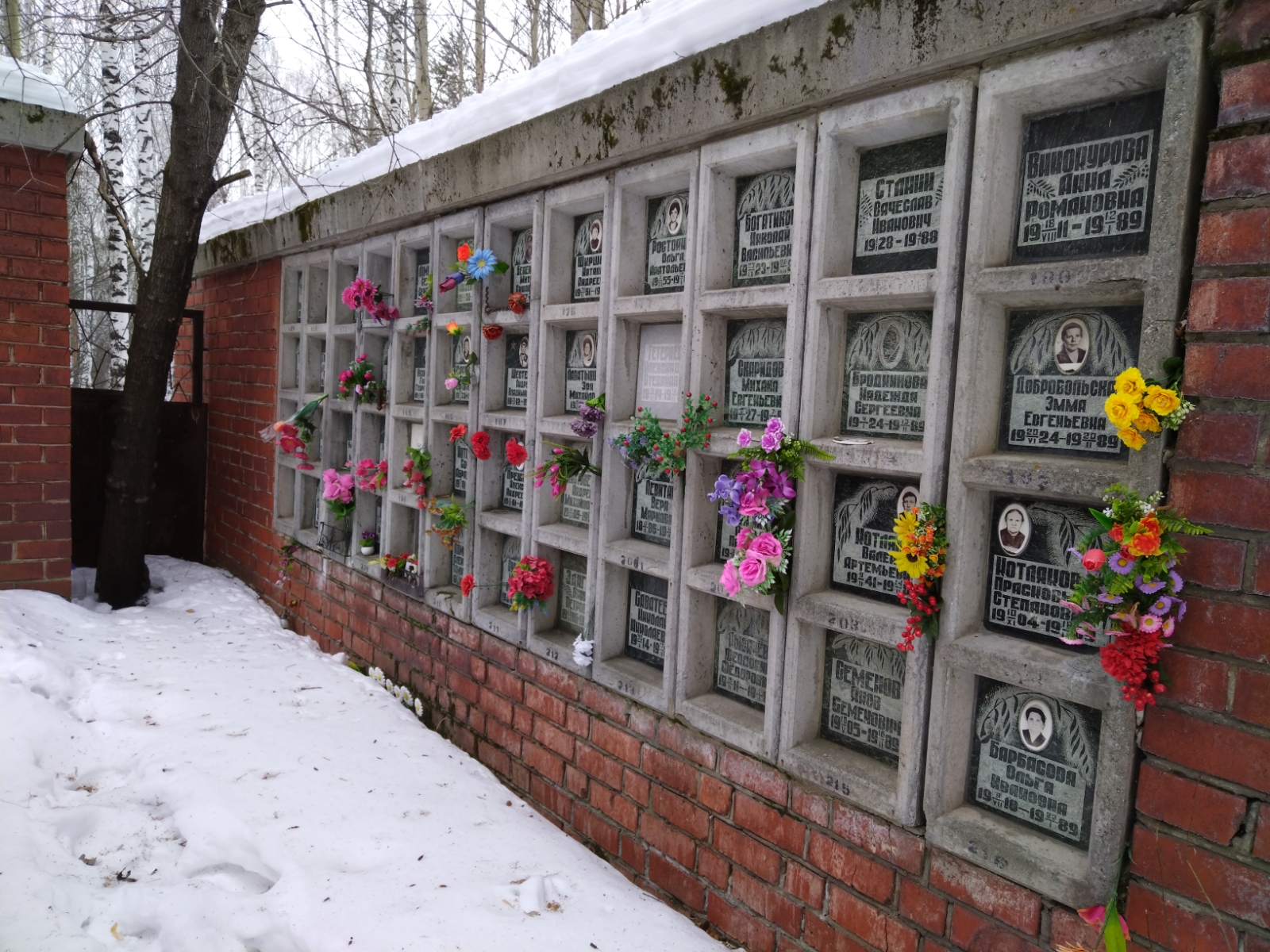 Винокурова Анна Романовна