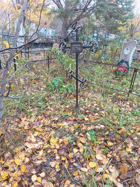 Данилова Наталья Степановна