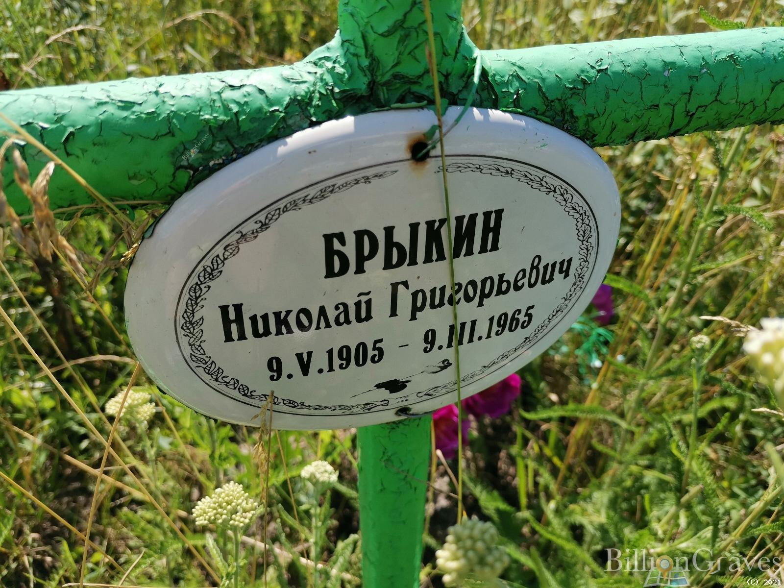 Брыкин Николай Григорьевич