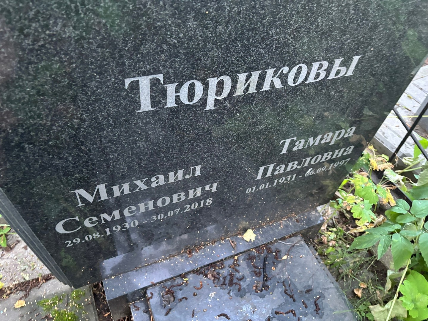 Тюриков