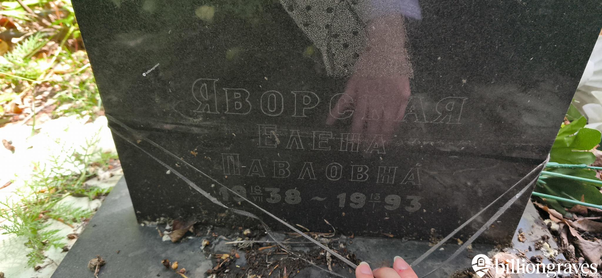 Яворская Елена Павловна