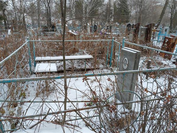 Лубнин Борис Васильевич