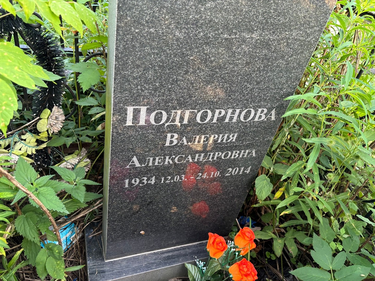 Подгорнова Валерия Александровна