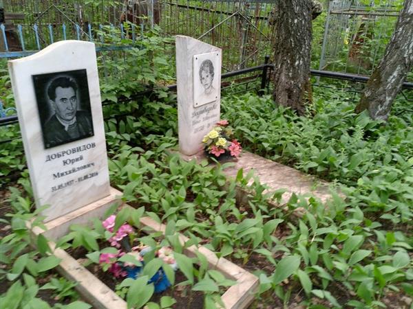 Добровидов Юрий Михайлович
