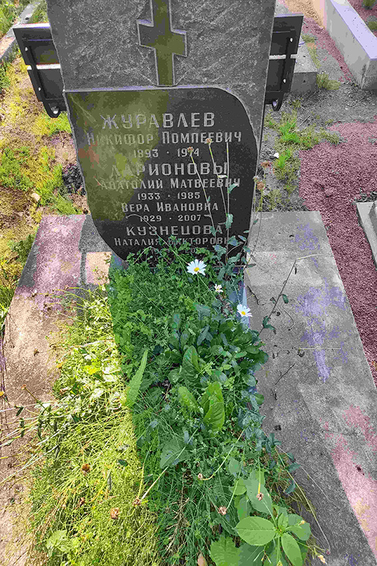 Ларионов Анатолий Матвеевич