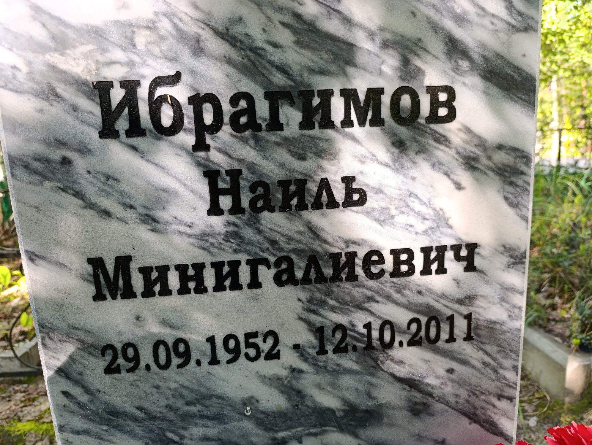 Ибрагимов Наиль Минигалиевич