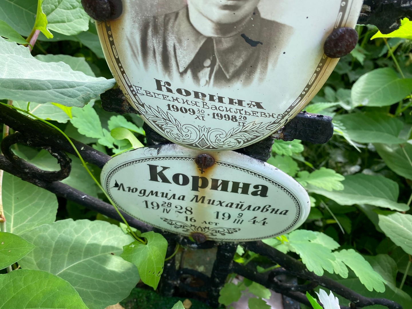 Корина Евгения Васильевна