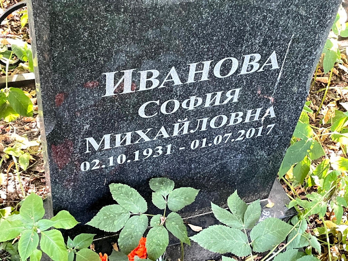 София Иванова Михайловна