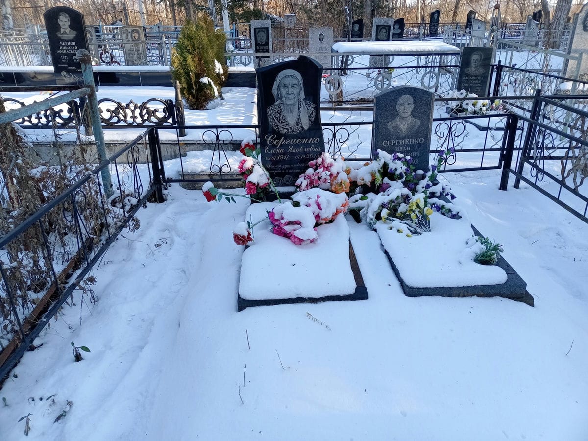 Сергиенко Елена Яковлевна