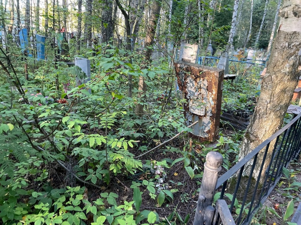 Муравьева Ольга Борисовна