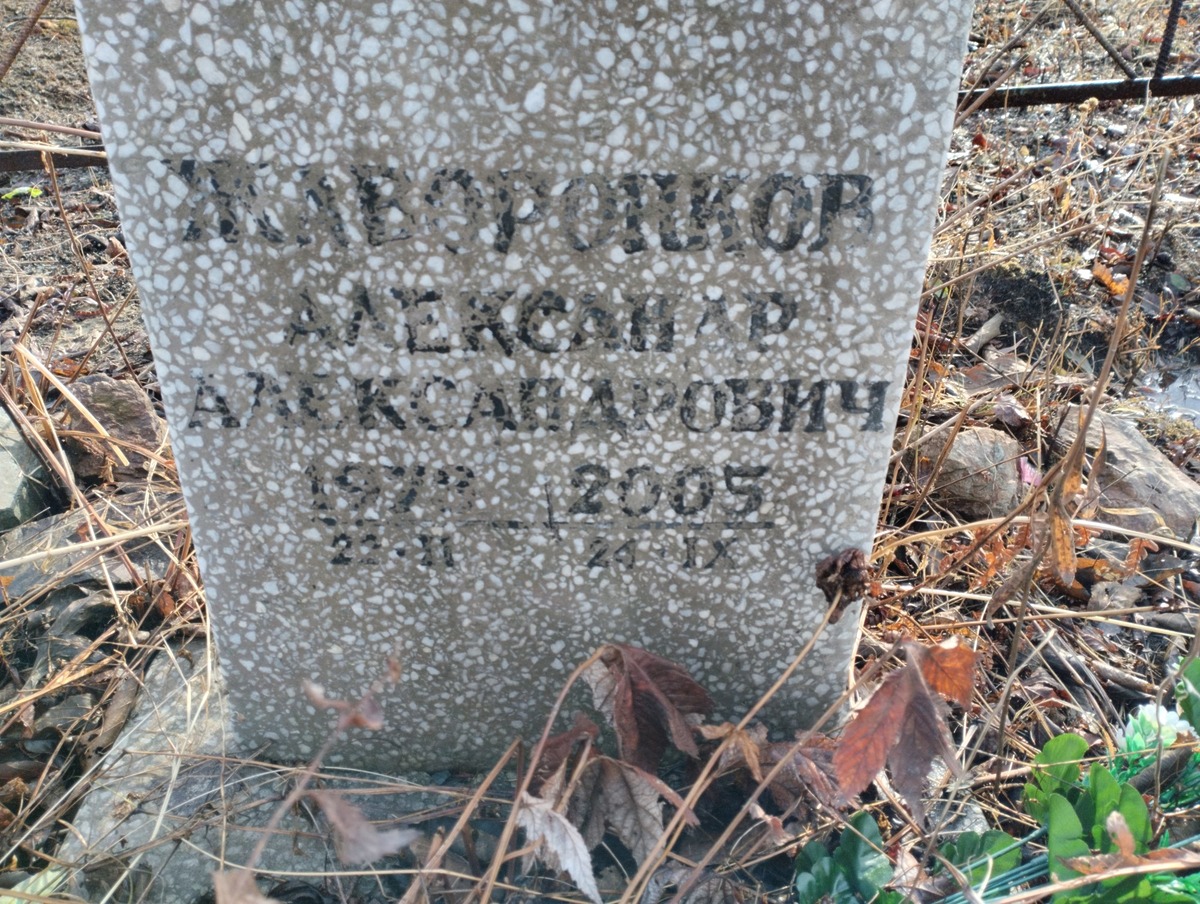 Жаворонков Александр Александрович