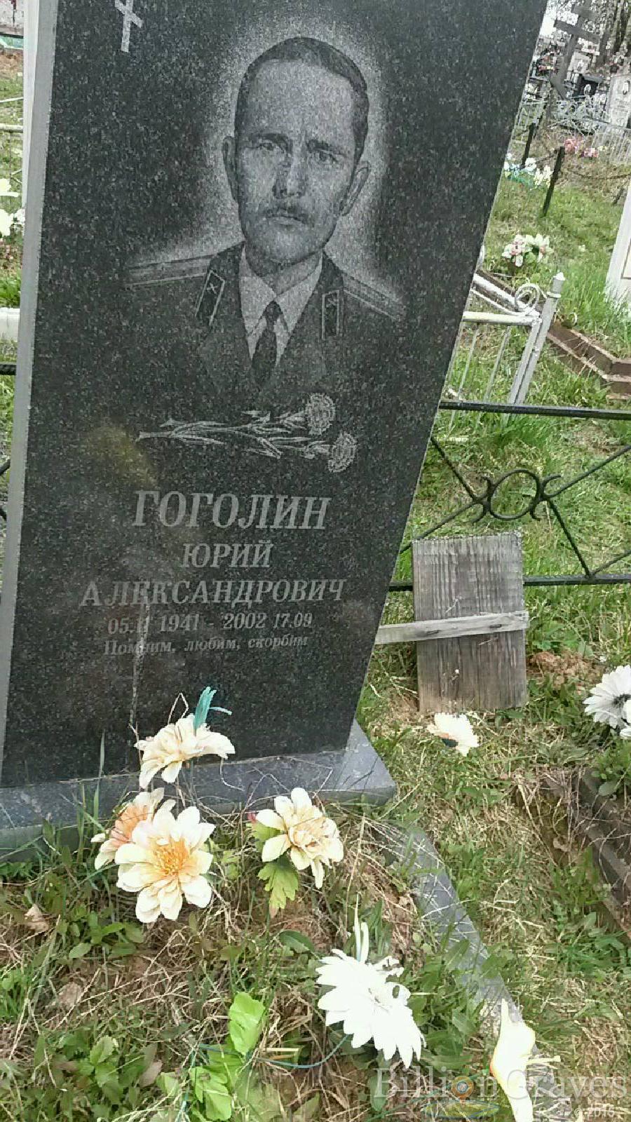 гоголин юрий александрович