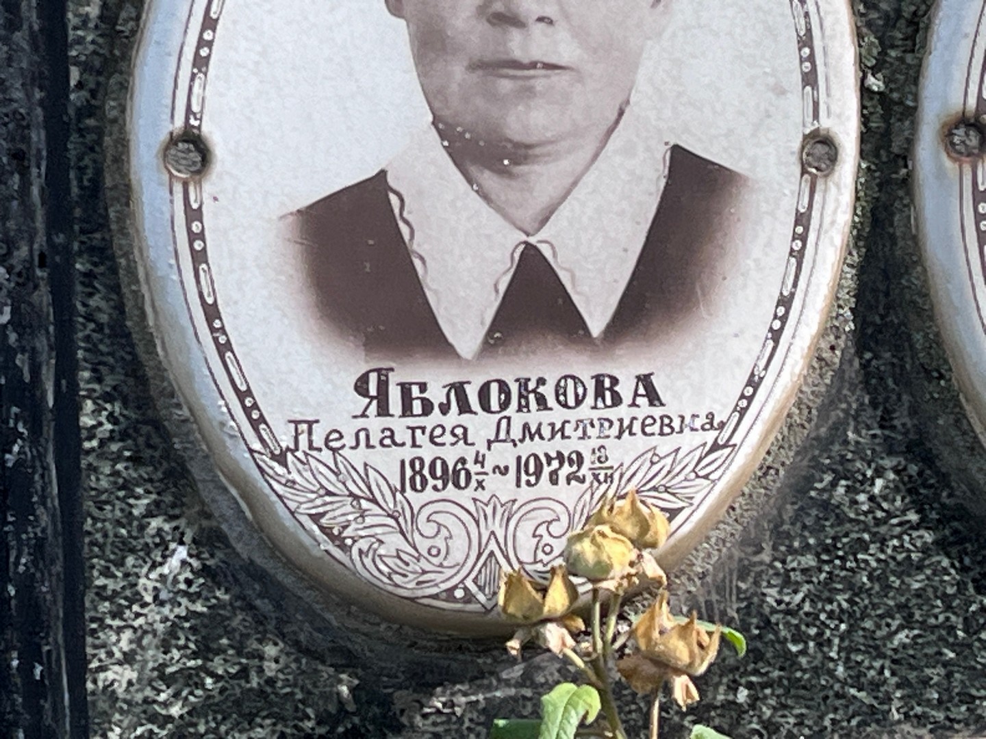 Яблокова Пелагея Дмитриевна