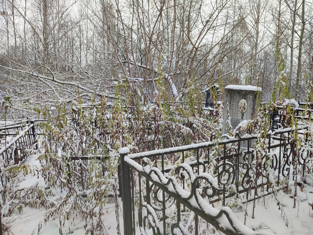 Костригин Николай Александрович