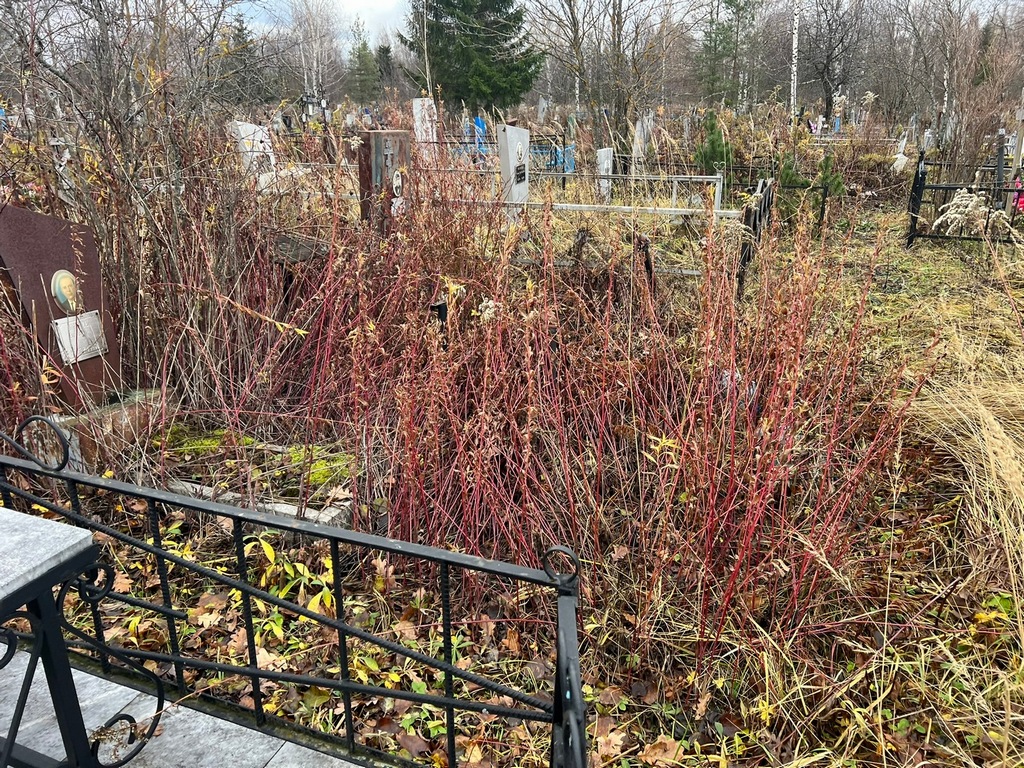 Круглов Николай Алексеевич