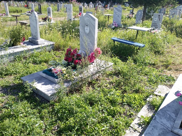 Нечкина Зоя Алексеевна
