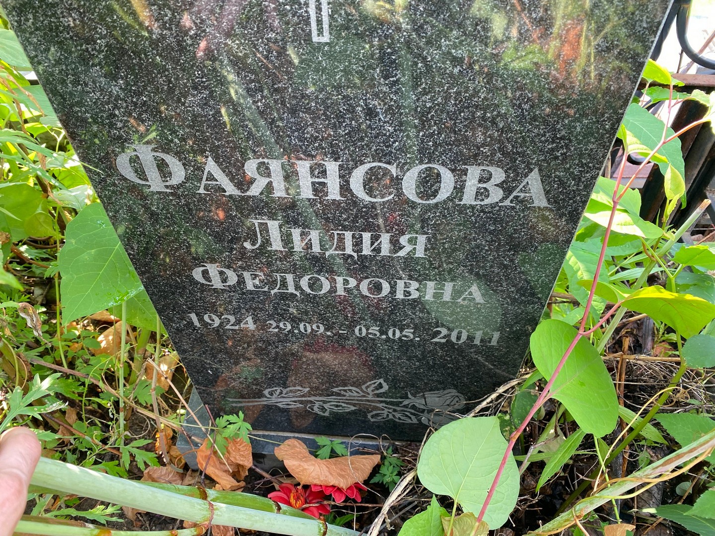 Фаянсова