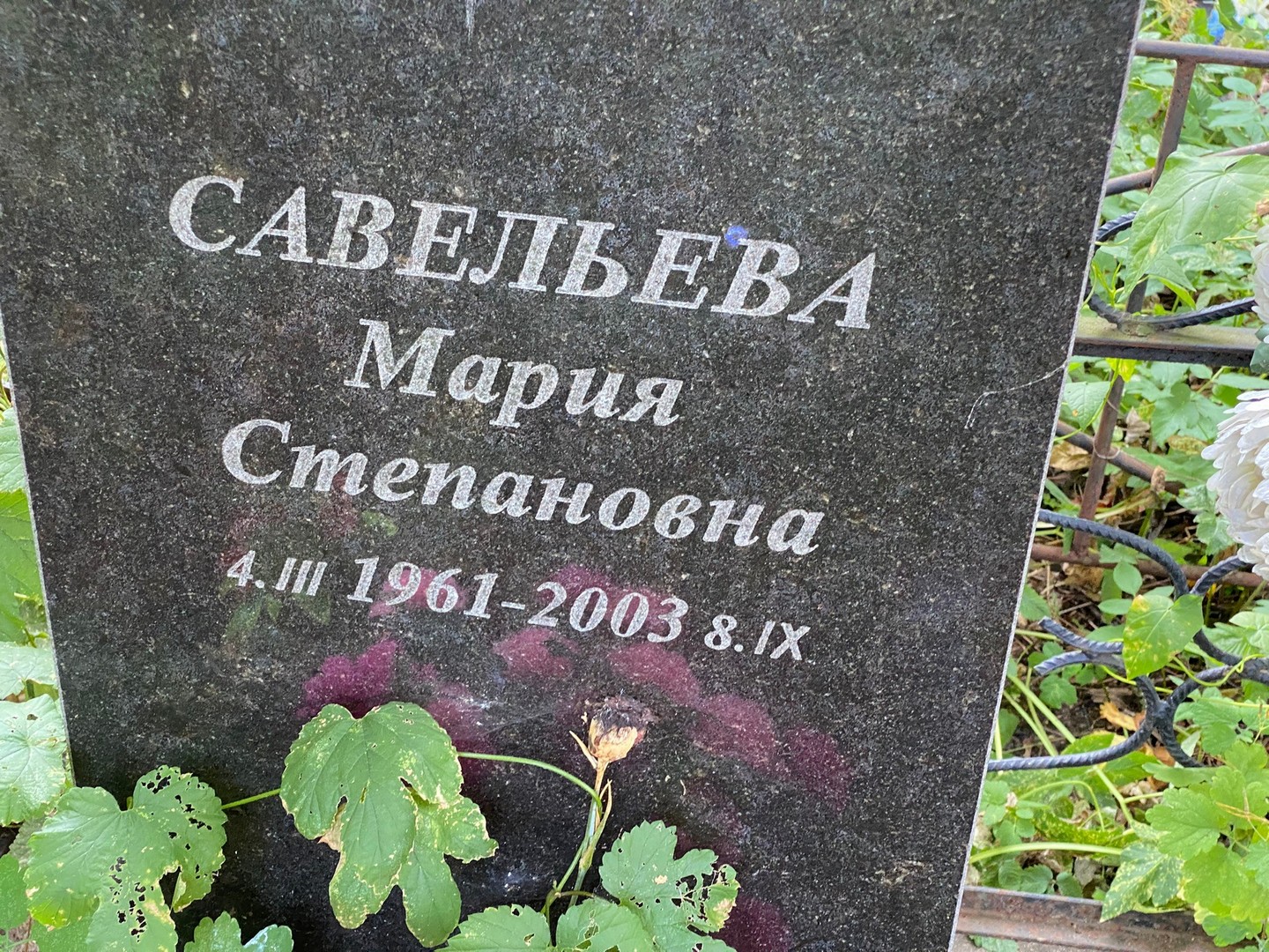 Савельева