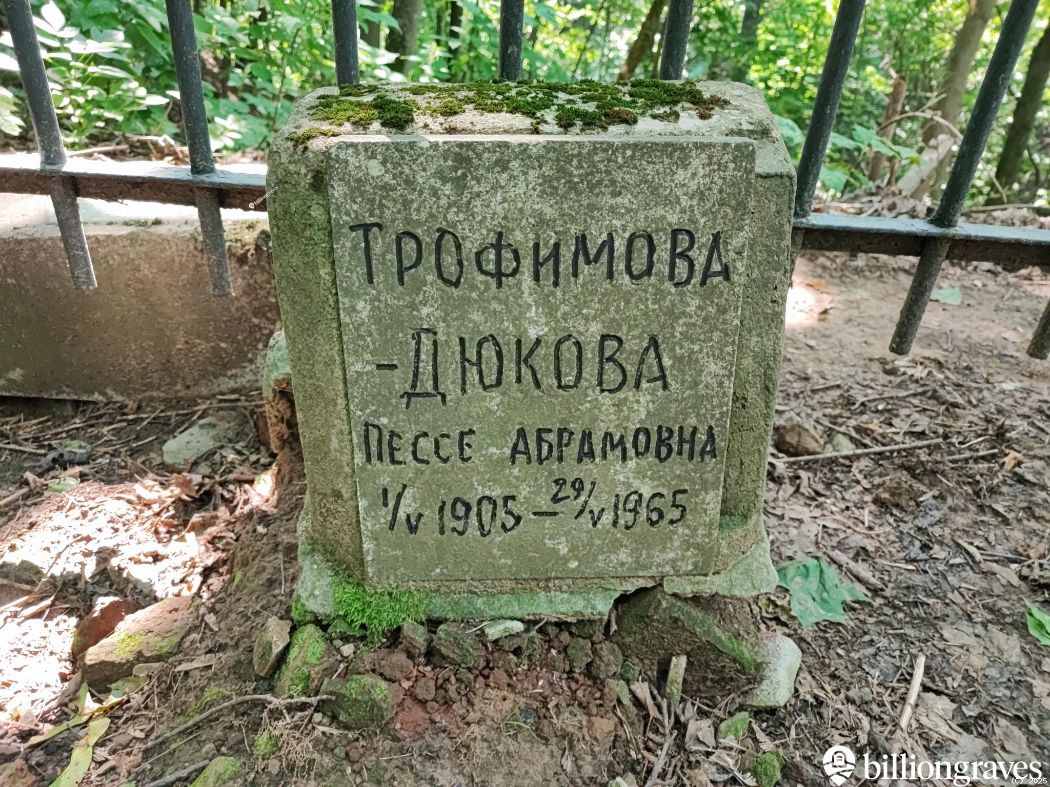 Трофимова Дюкова Пессе Абрамовна