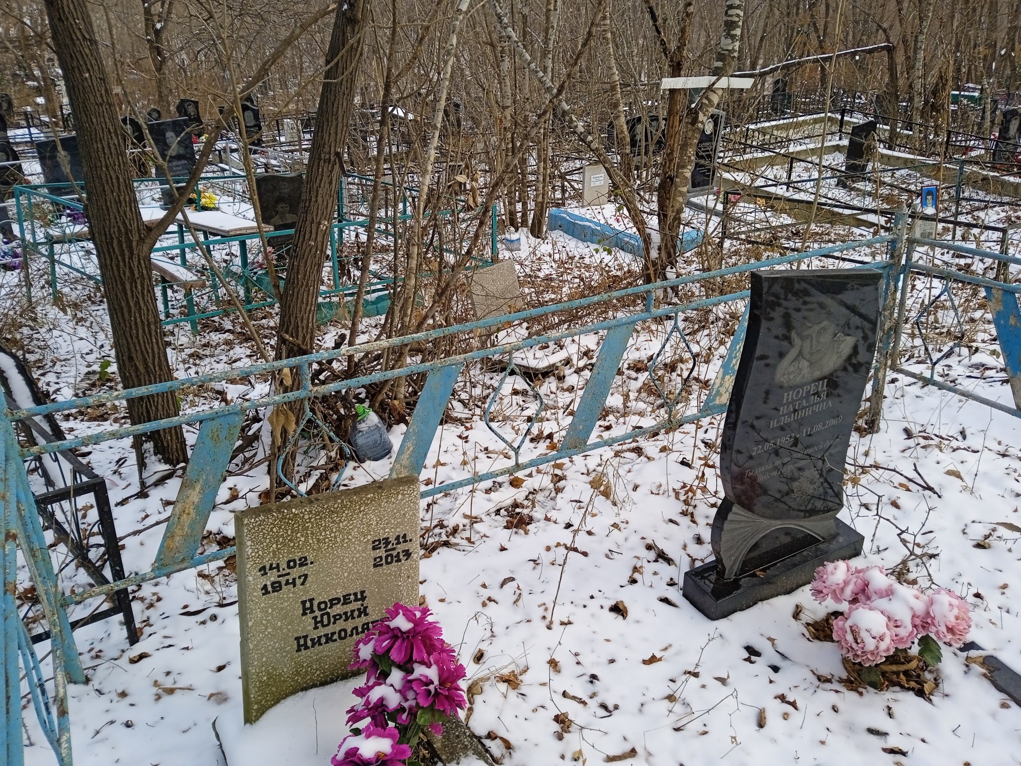 Норец Наталья Ильинична