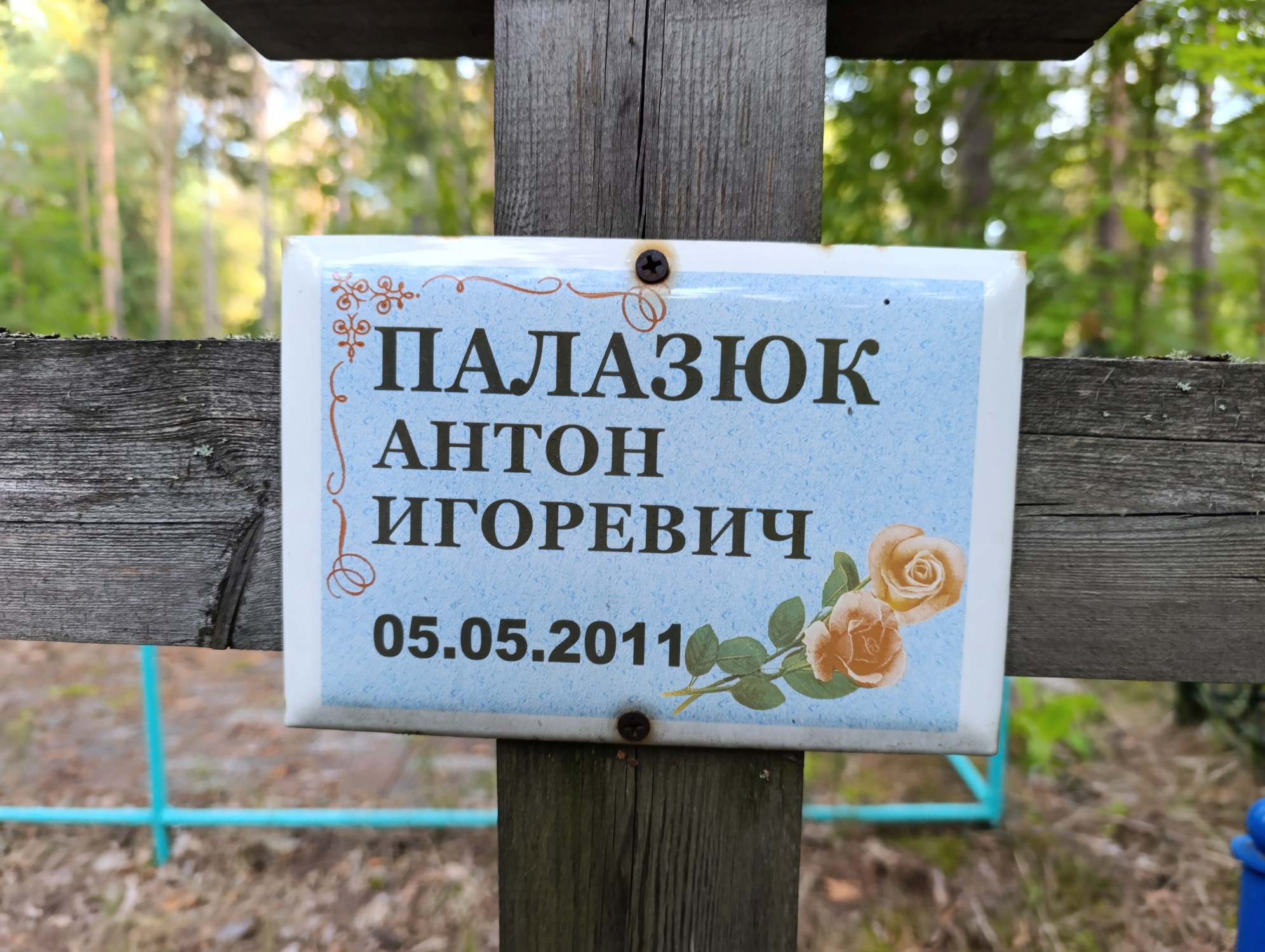 Палазюк Антон Игоревич