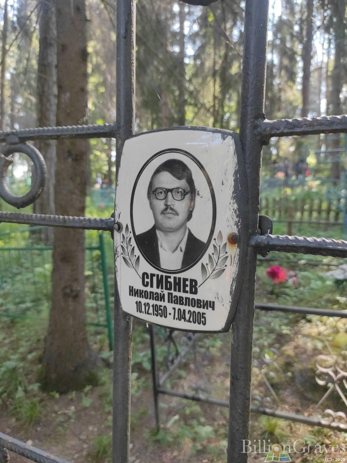 Сгибнев Николай Павлович