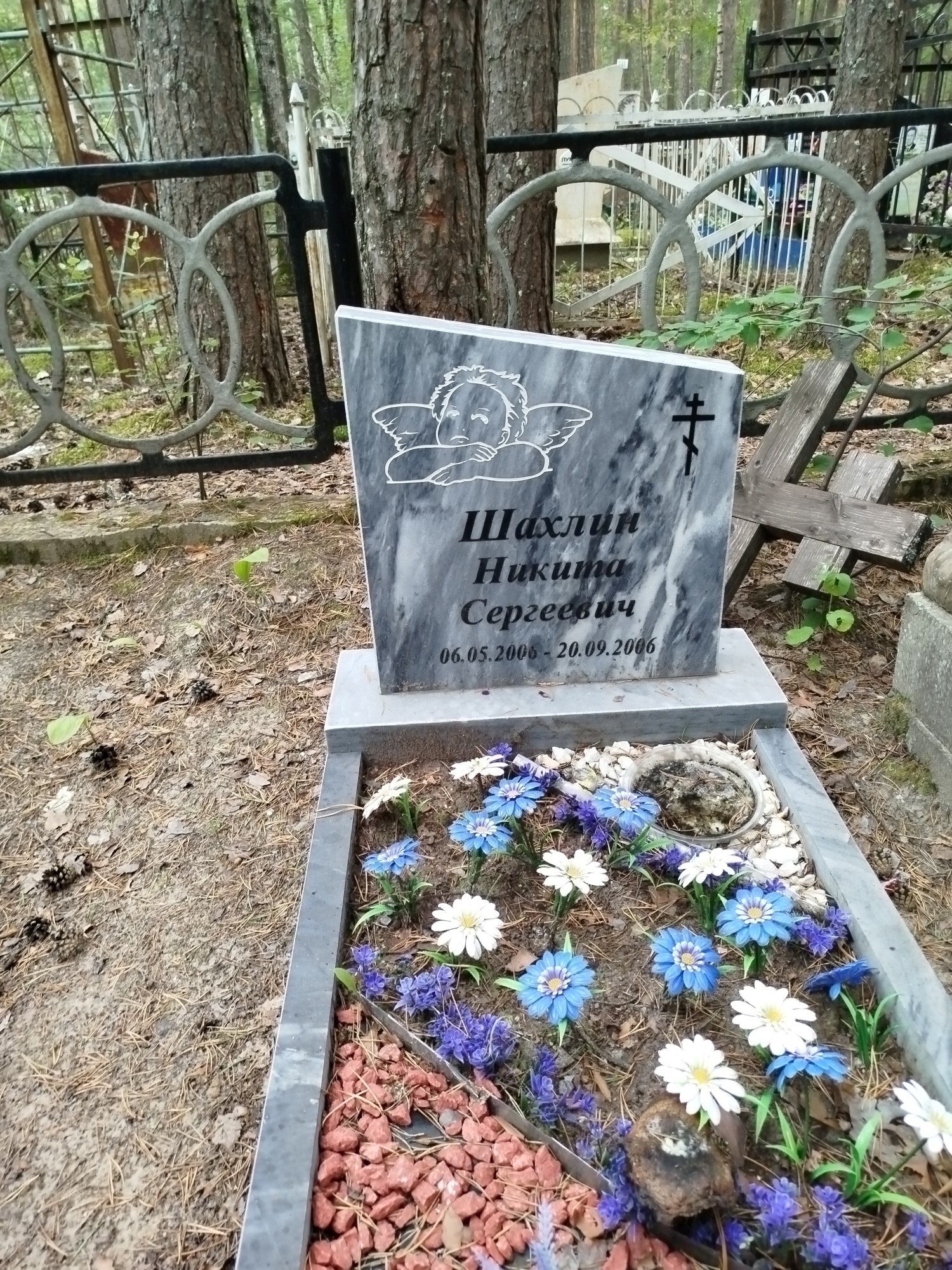 Шахлин Никита Сергеевич