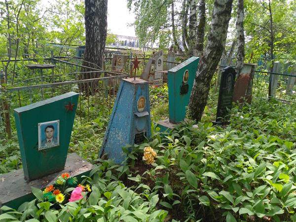 Мамонтов Николай Федорович