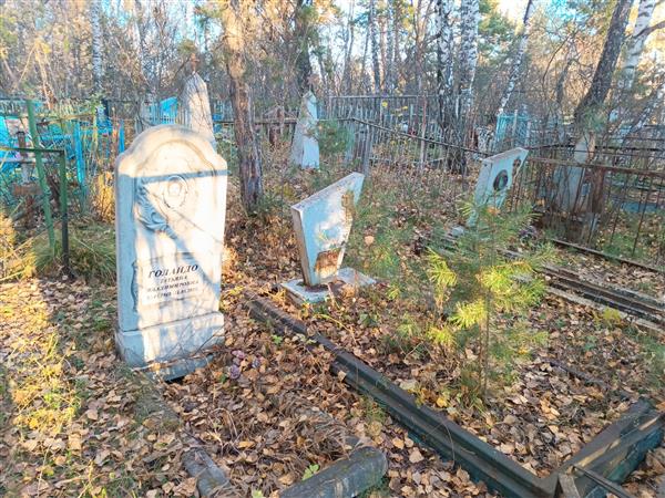 Жолудева Анна Доминиковна