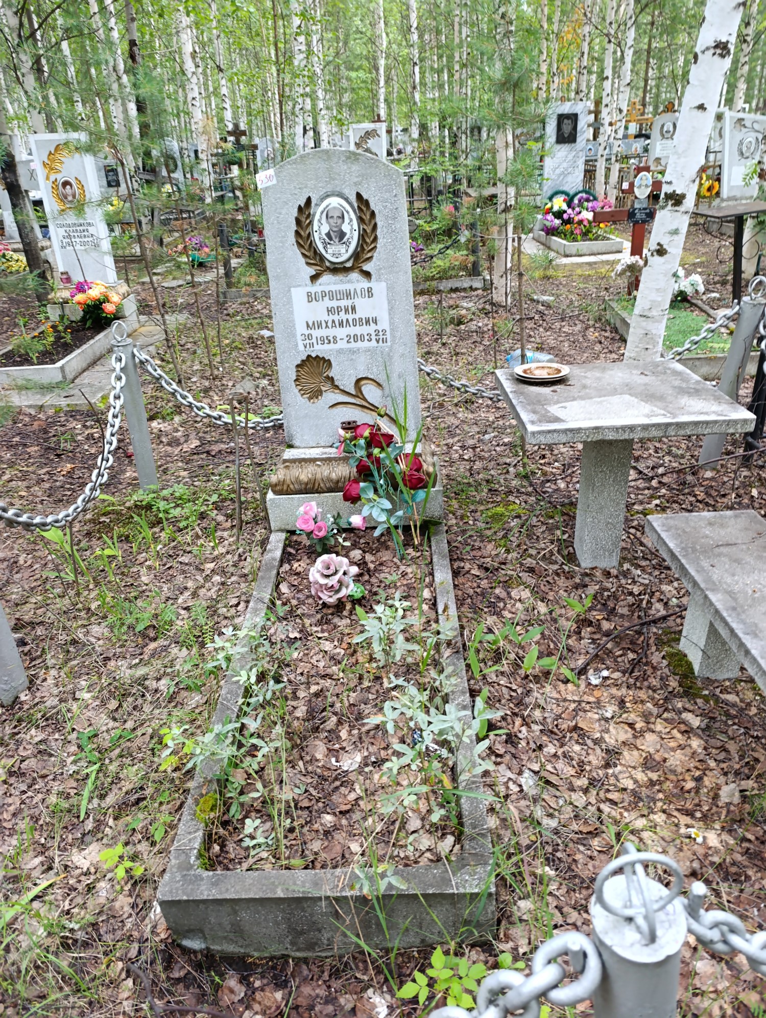Ворошилов Юрий Михайлович