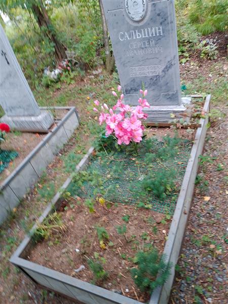 Сальцин Сергей Иванович