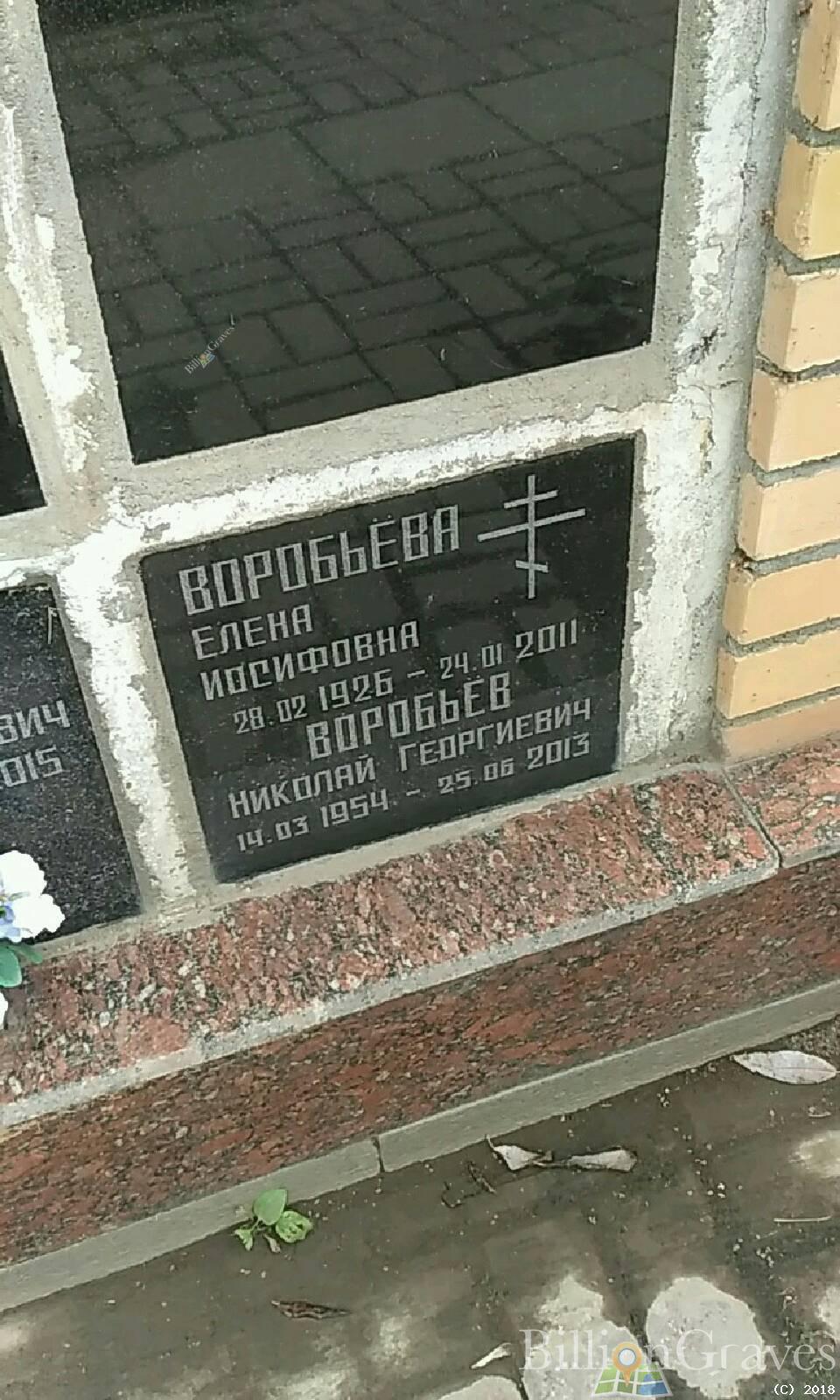 Воробьев Николай Георгиевич