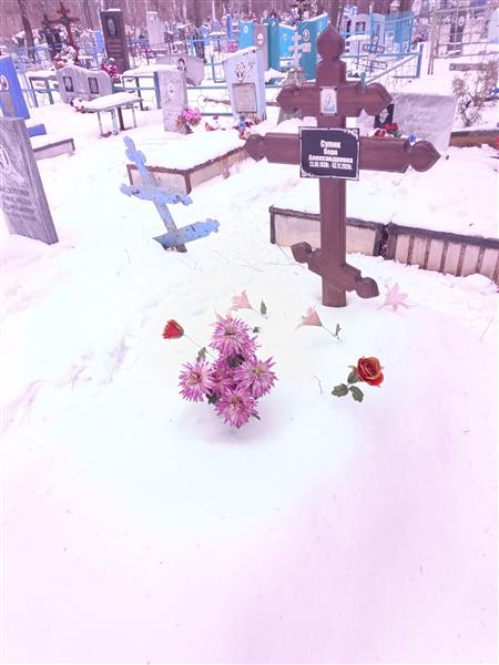Супик Вера Александровна