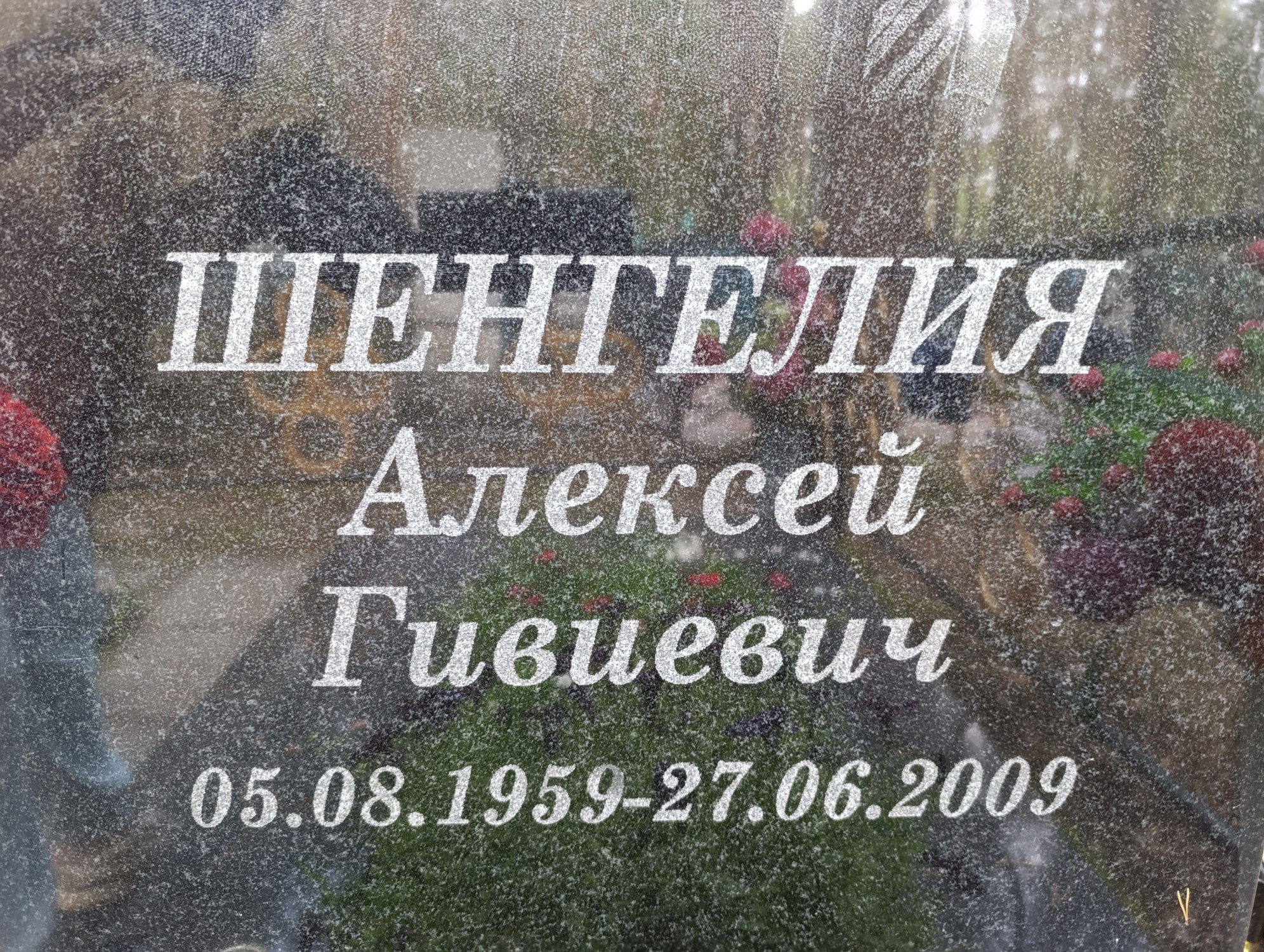 Шенгелия Алексей Гивиевич