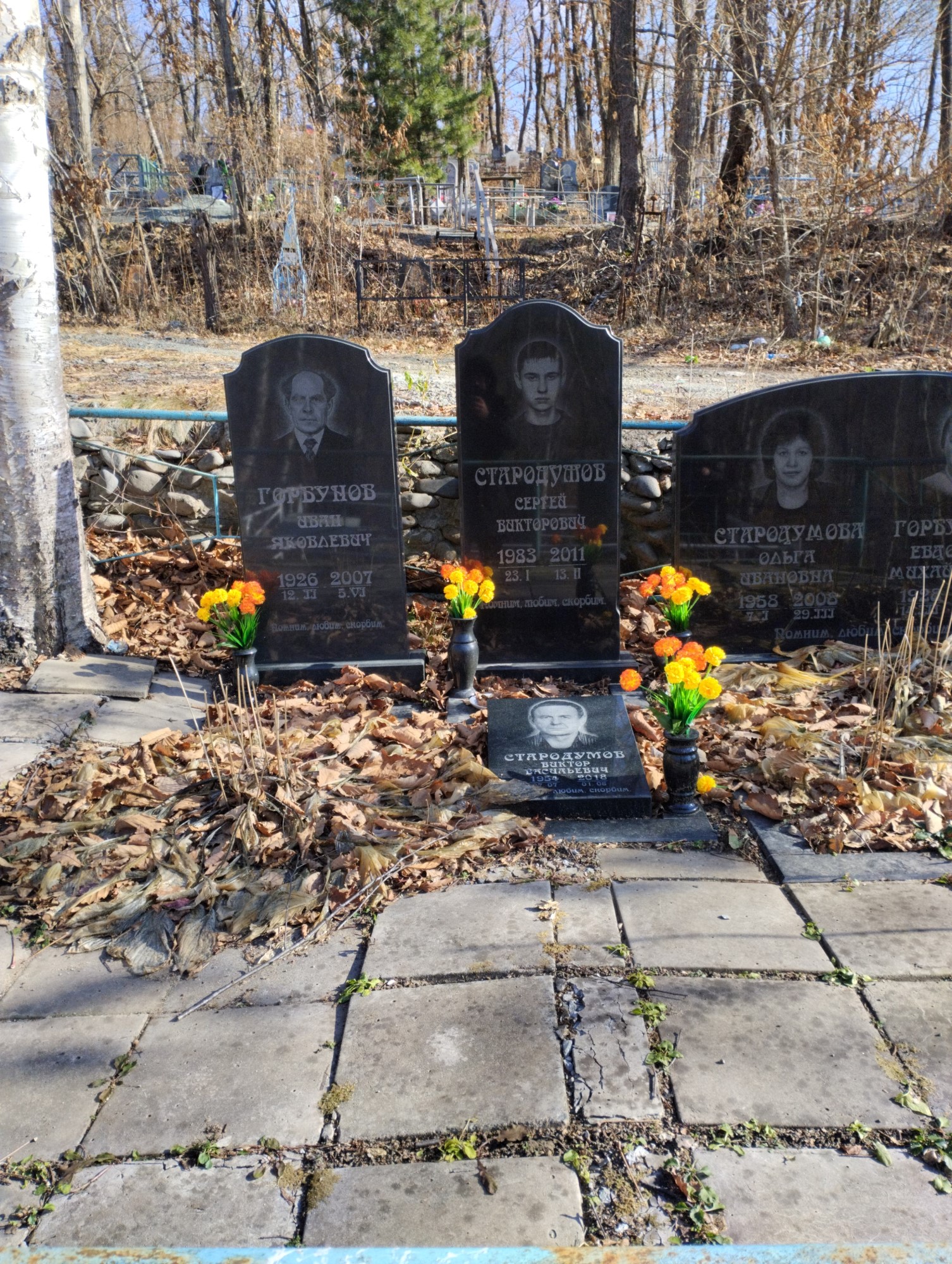 Стародумов Виктор Васильевич