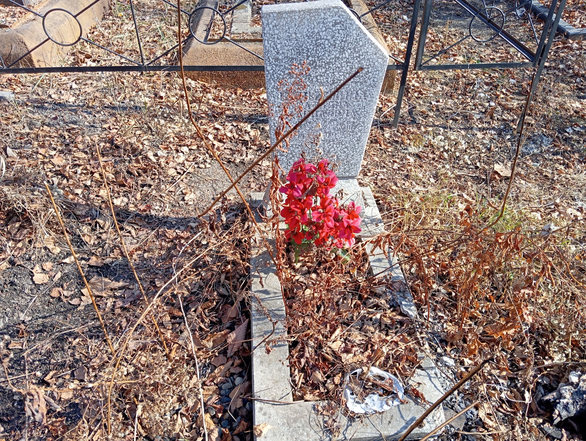 Климушина Татьяна Даниловна
