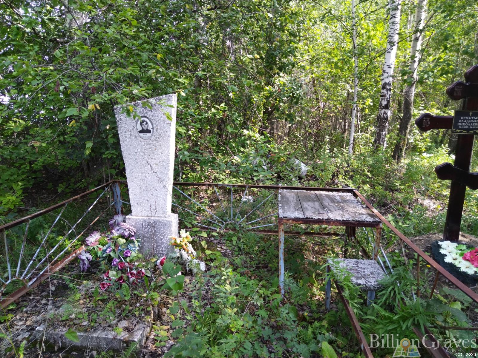 Левит Валерий Викторович