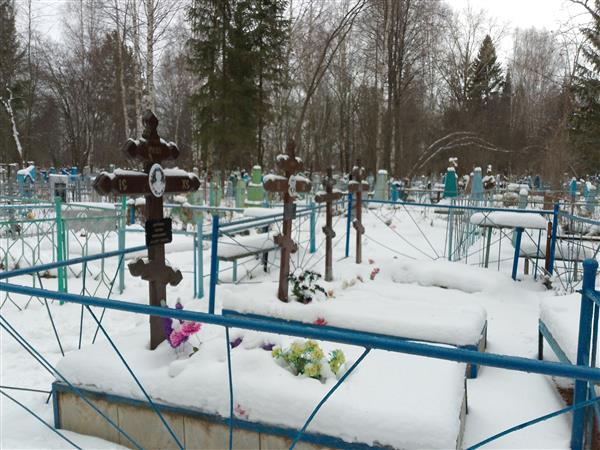 Желтова Елизавета Сергеевна