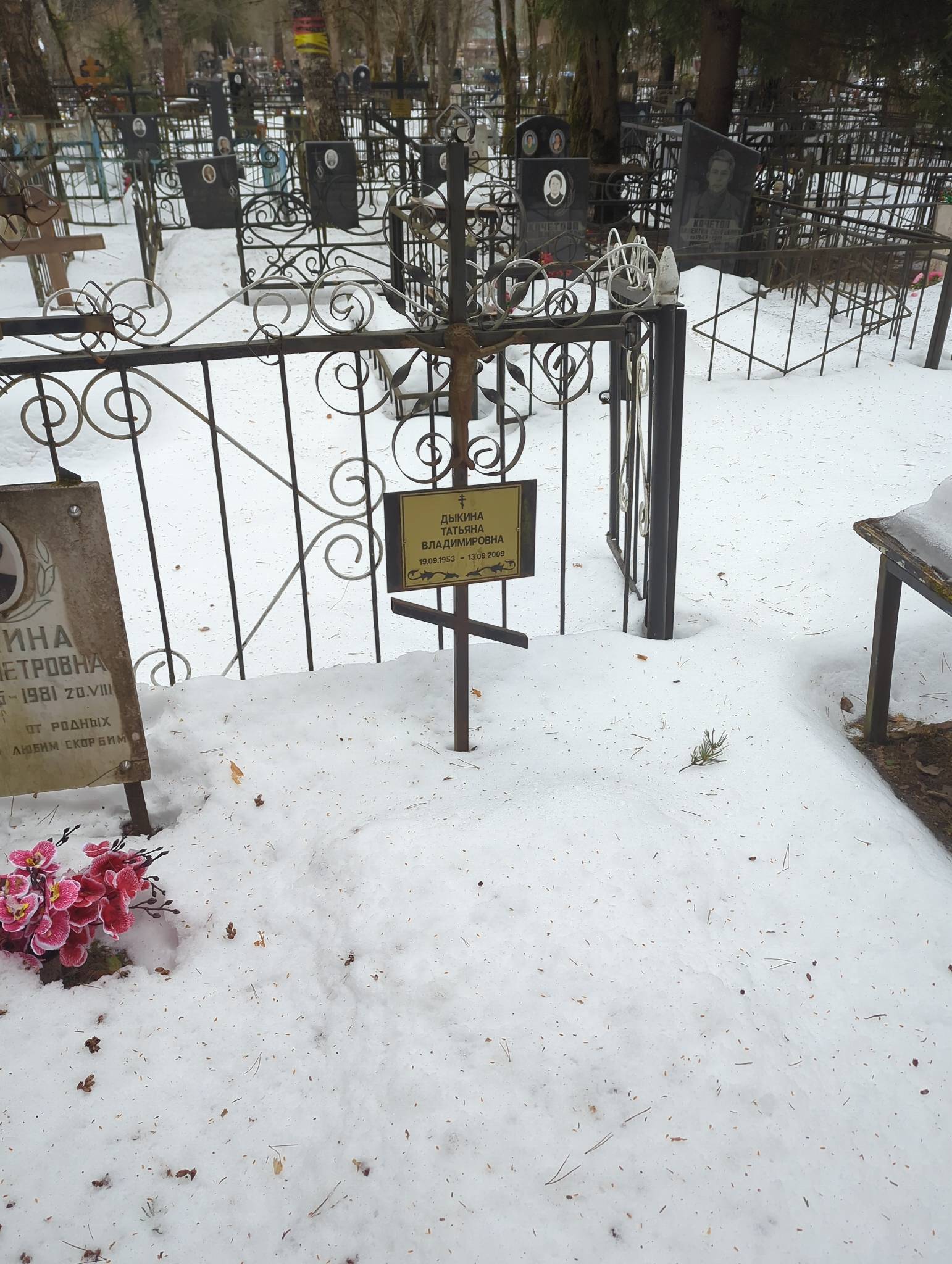 Дыкина Татьяна Владимировна