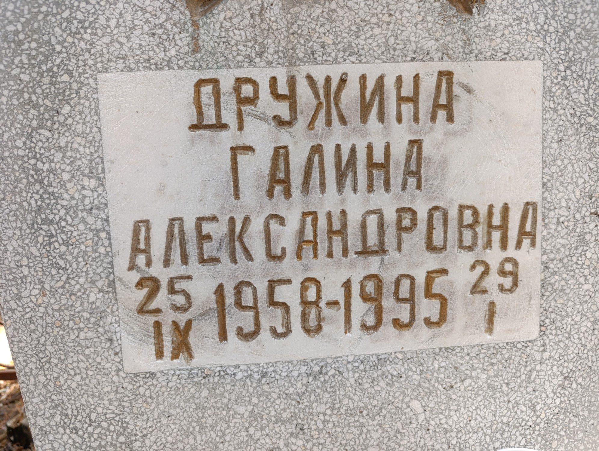 Дружина Галина Александровна