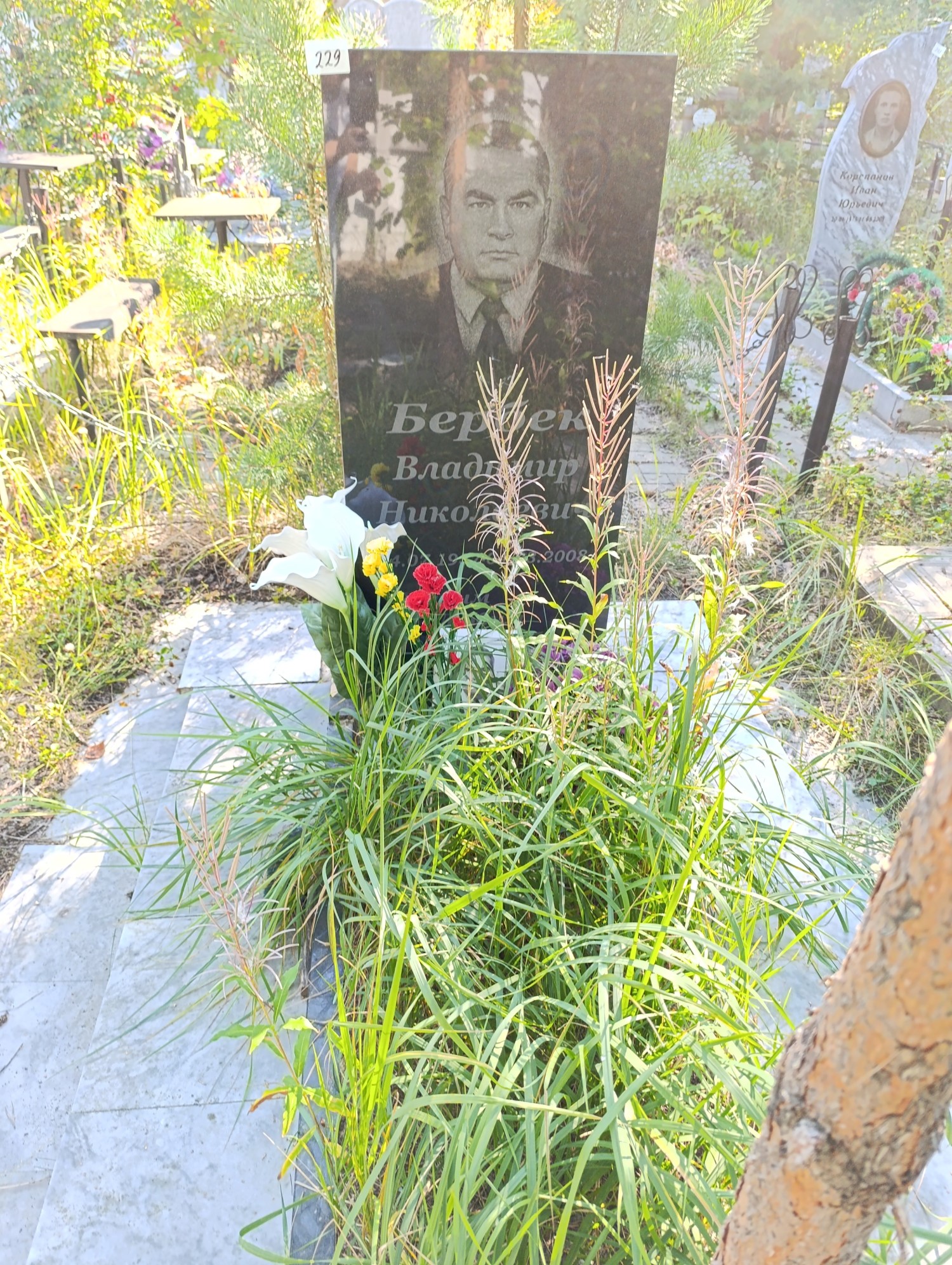 Бербек Владимир Николаевич