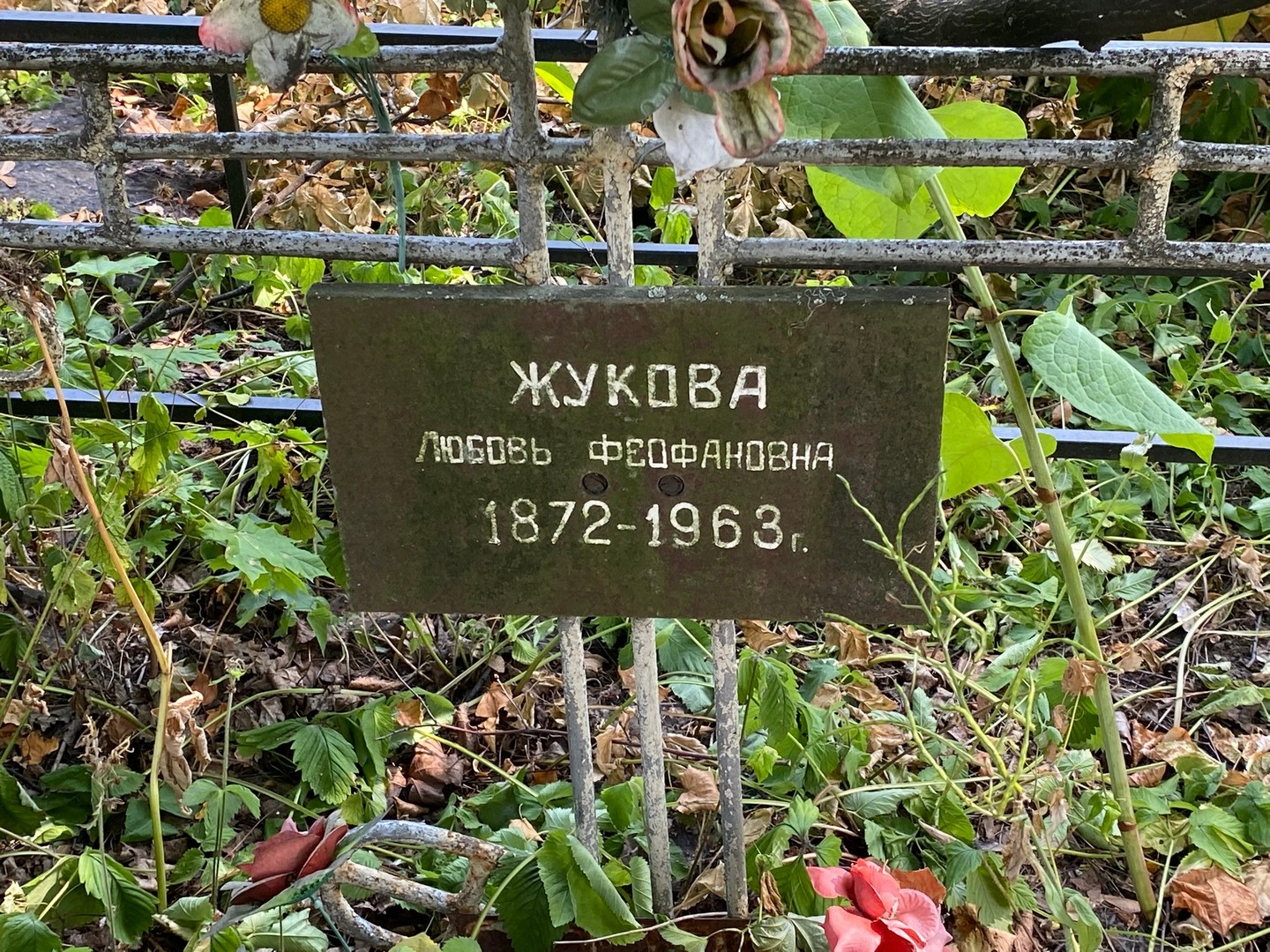 Жукова