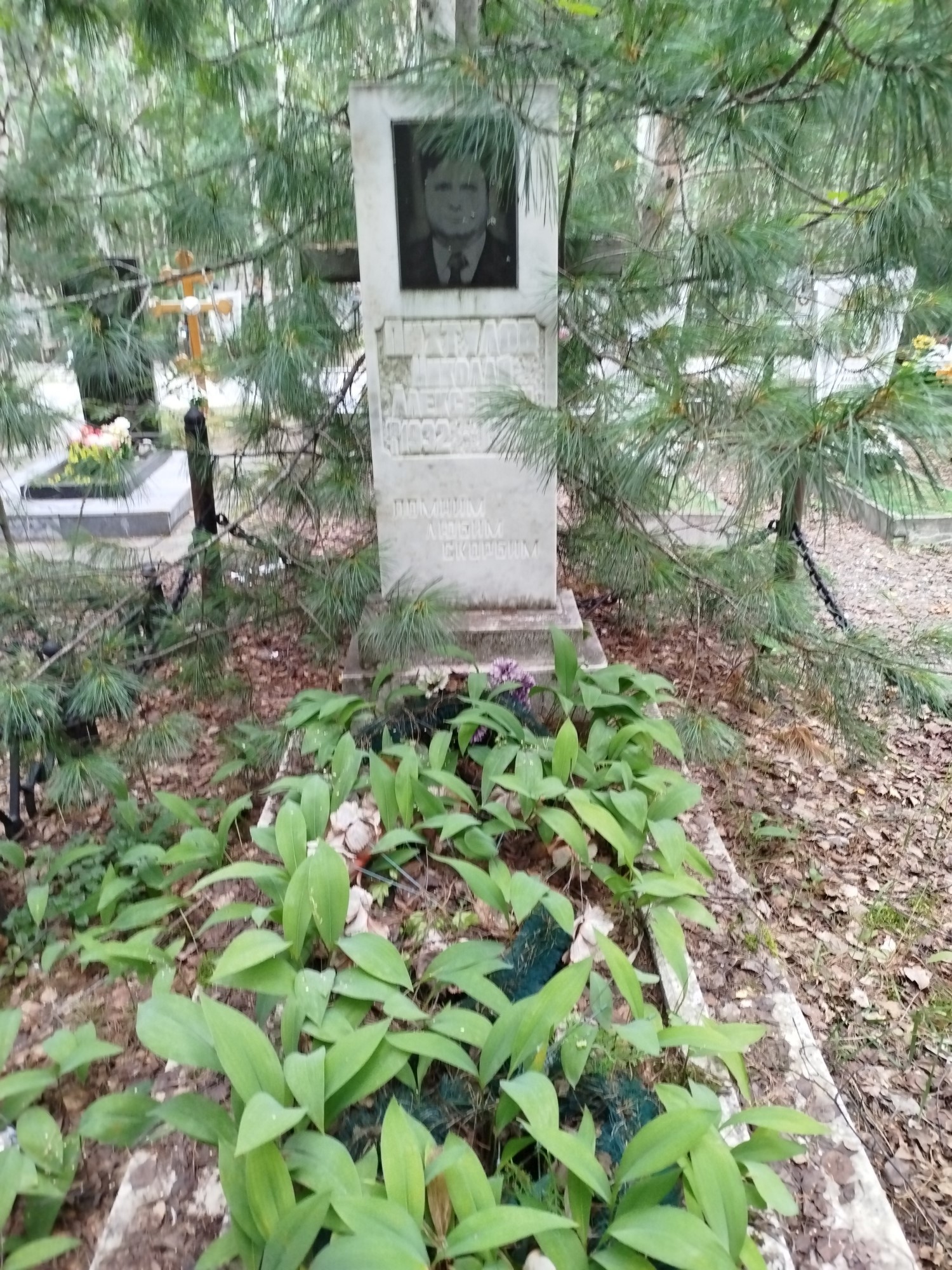 Пихтулов Николай Алексеевич